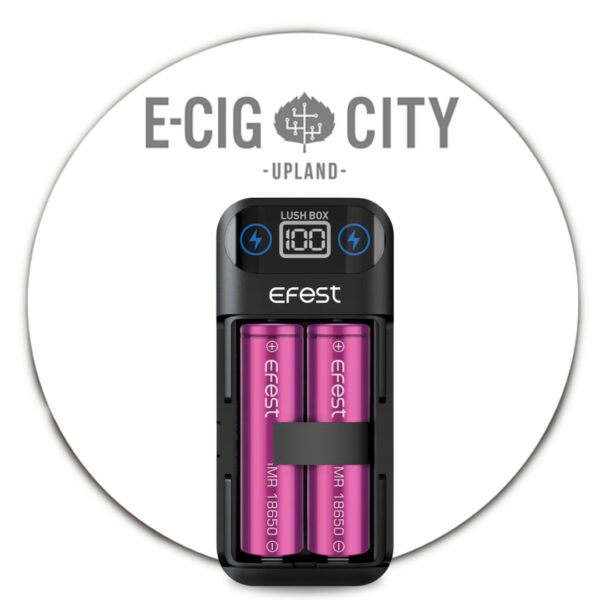 Efest LUSH BOX Charger and Portable Power Bank